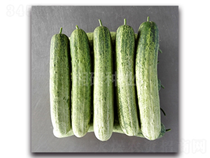 ��@����-�S�ϷN��-���зN�I(y��)