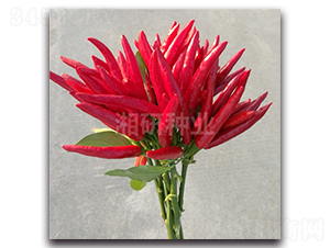 ����-���콷�N��-���зN�I(y��)