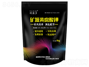 �VԴ�S�����-����-�����