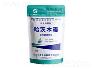 ����ľù-�L(zh��ng)̩����