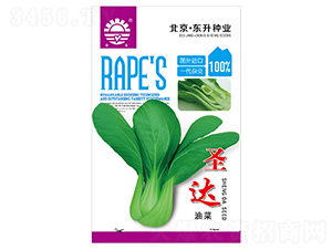 �|��ʥ�_(d��)�Ͳ�-�Ͳ˷N��-�|���N�I(y��)