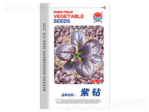 東升紫鉆油菜-油菜種子-東升種業(yè)