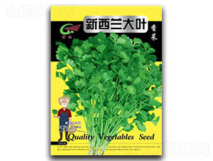 �����m���~-��˷N��-����