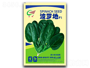 ���_��-���˷N��-����