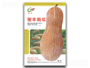 �۱��Ϲ�-�ϹϷN��-����