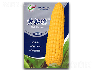 �SճŴ-Ŵ���׷N��-����