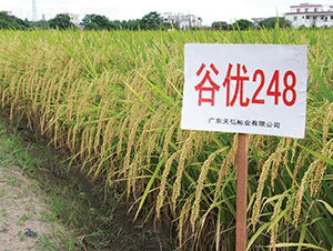 �ȃ�(y��u)248-ˮ���N��-���N�I(y��)