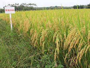 �p��(y��u)2088-ˮ���N��-���N�I(y��)