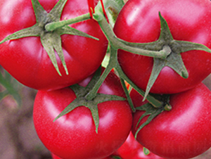 ����8̖F1-�۹����ѷN��-Ψ�r(n��ng)�N�I(y��)