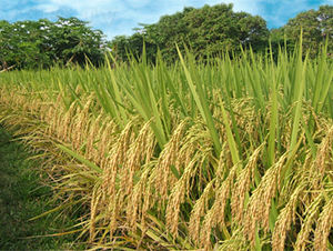 ���(y��u)16-ˮ���N��-���N�I(y��)