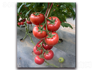 ����6̖F1-�۹����ѷN��-Ψ�r(n��ng)�N�I(y��)