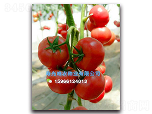 ����360F1-�۹����ѷN��-Ψ�r(n��ng)�N�I(y��)