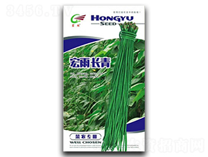 宏雨長青-豇豆種子-宏雨