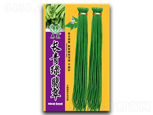 �L��v���-�����N��-����