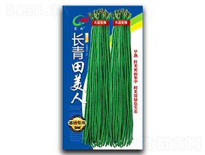 長青田美人-豇豆種子-宏雨