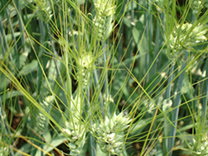 �Kơ6̖(h��o)-�����N��-�к̷N�I(y��)