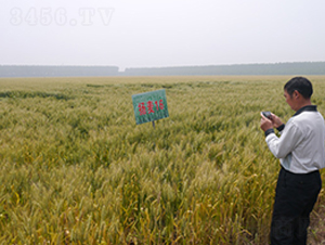 �P(y��ng)��16̖(h��o)-С���N��-�к̷N�I(y��)