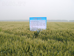 ����13̖(h��o)-С���N��-�к̷N�I(y��)