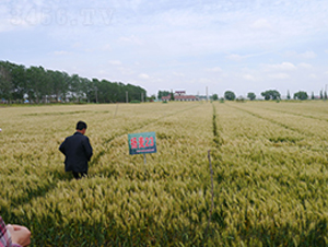 �P(y��ng)��23-С���N��-�к̷N�I(y��)