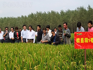 �Ŵ1̖-ˮ���N��-�к̷N�I(y��)