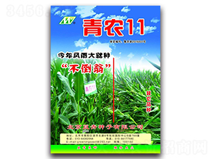 ���r(n��ng)11-���׷N��-����