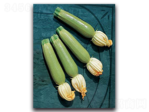 ����-�����J�N��-����