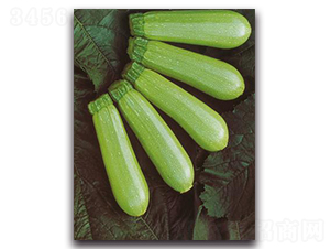 �����w��-�����J�N��-����