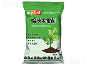 ����ľù��-�ӱ��Z-������