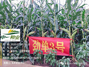 �ņ�3̖(h��o)-���׷N��-��һ�N�I(y��)