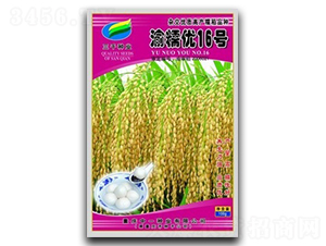 ��Ŵ��(y��u)16̖-ˮ���N��-��һ�N�I(y��)