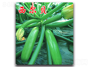 ����ؐ-�����J�N��-�r(n��ng)���r(n��ng)�I(y��)