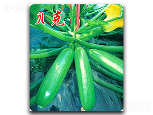 ؐ��-�����J�N��-�r(n��ng)���r(n��ng)�I(y��)