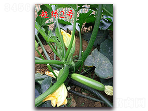 ���G2̖-�͟������J�N��-�r(n��ng)���r(n��ng)�I(y��)