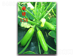 ���G158-�����������J�N��-�r(n��ng)���r(n��ng)�I(y��)