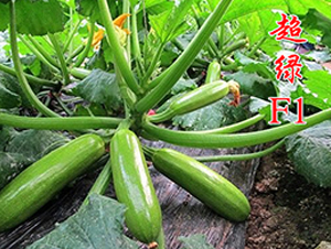 ���GF1-�����J�N��-�r(n��ng)���r(n��ng)�I(y��)