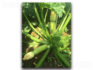 ���G3̖-���ӿ����������J-�r(n��ng)���r(n��ng)�I(y��)