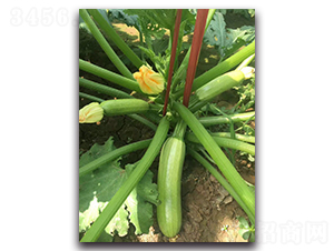 ���G3̖-�������ӹ��������J�N��-�r(n��ng)���r(n��ng)�I(y��)