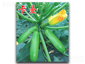 ����-�����J�N��-�r(n��ng)���r(n��ng)�I(y��)