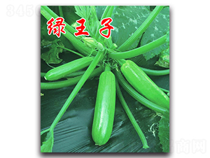 �G����-¶�������J�N��-�r(n��ng)���r(n��ng)�I(y��)