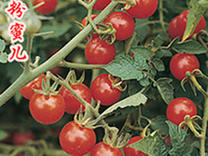 ���ۃ�-���ҷ��ѷN��-�r(n��ng)���r(n��ng)�I(y��)