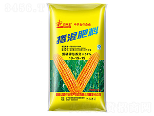 ���ד������19-19-19-�ٺ��S-�|���r(n��ng)�I(y��)