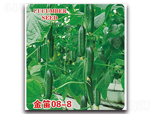 ���08-8-�S�ϷN��-�Є�(chu��ng)���S