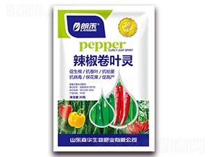 �������~�`-�ʺ�-���A����