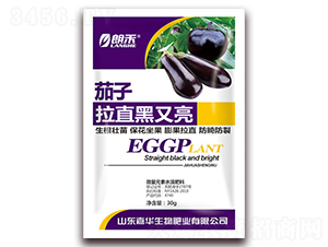 ������ֱ������-�ʺ�-���A����