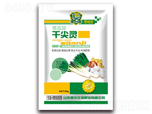 �[����ɼ��`-�ʺ�-���A����