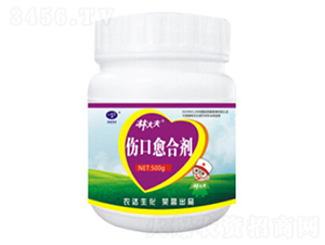 �������τ�-�ִ��-�r(n��ng)�_(d��)����