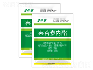 �|̦�؃�(n��i)��-�f(w��n)�ډ�-�r(n��ng)�_(d��)���� 