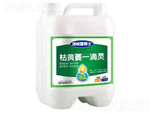 ���Sήһ���`-���{����ʿ-���{��Ұ