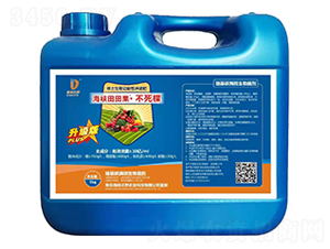 �������������ԛ_���-���{�������������-���{��Ұ