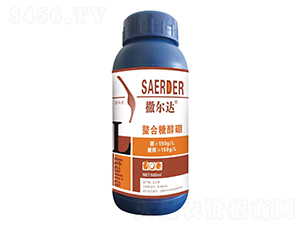 �����Ǵ���-�����_(d��)-��(y��u)�ݿ�